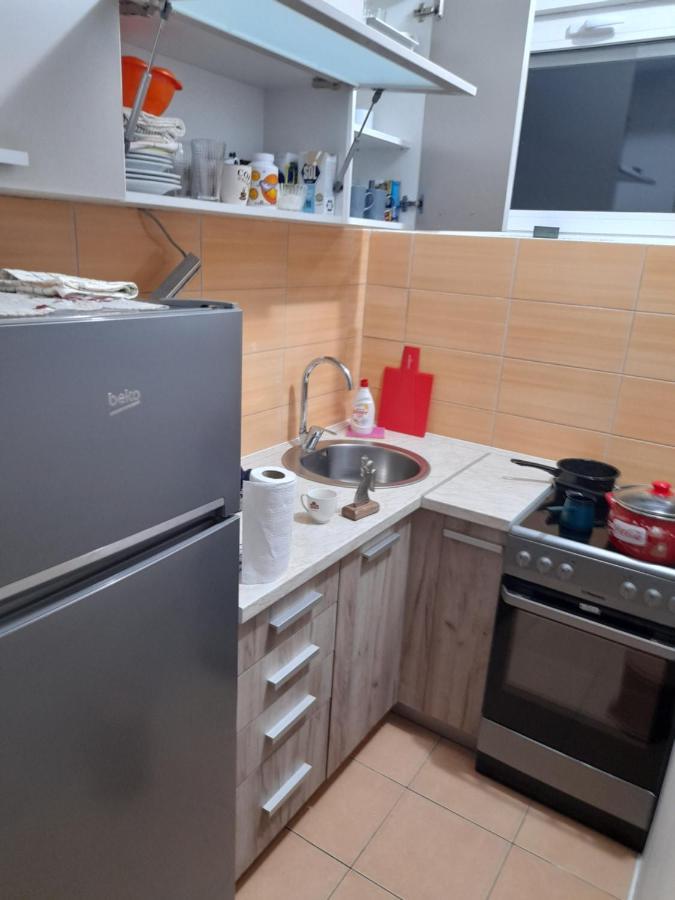 Apartment Luka Podgoriçe Dış mekan fotoğraf